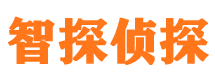 富拉尔基市婚外情调查